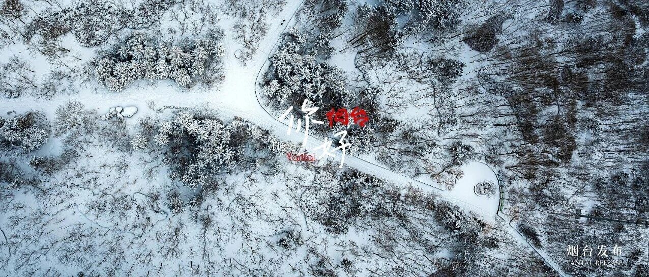 【你好 烟台】就这个冬天的烟台，好看！好拍！超爱！