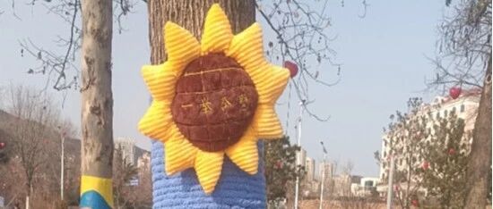 冬树披彩衣  绒绒暖意“缚”——烟台市数字化城市管理服务中心启动“冬树暖心衣”活动