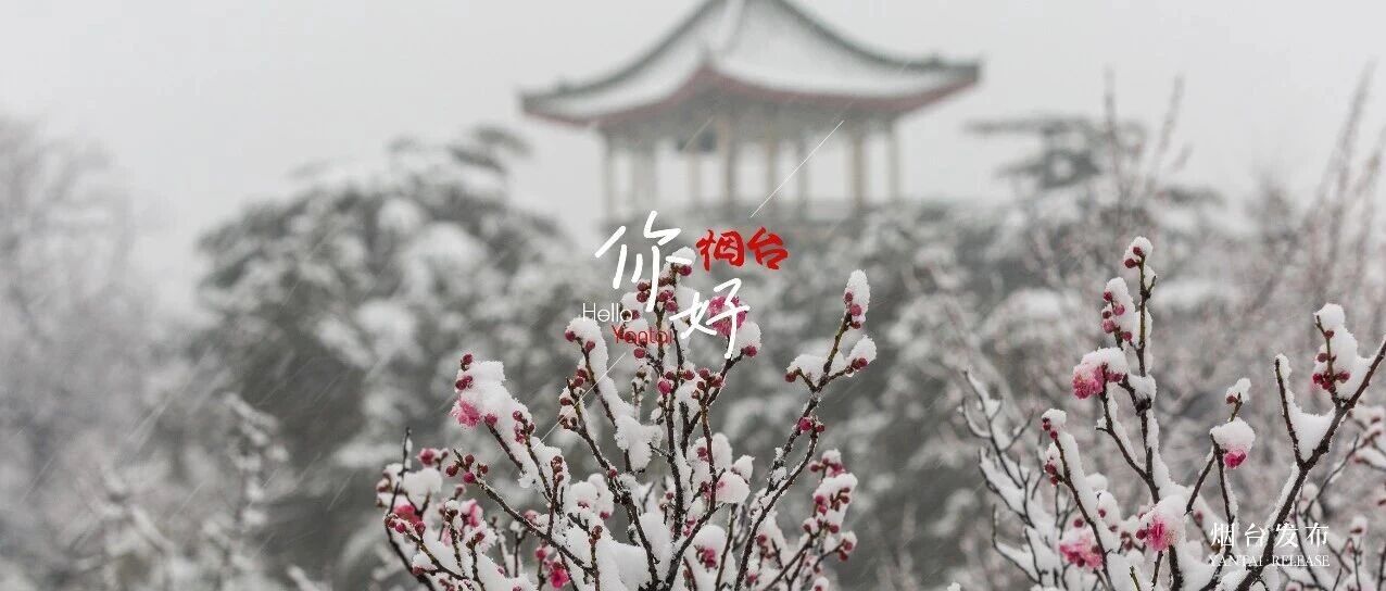 【你好 烟台】听，是春天的声音~