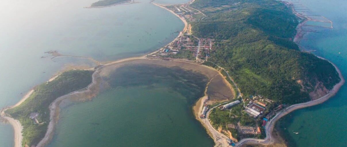 【盘点2025】长岛综合试验区庙岛保护发展服务中心：夯实根基谋发展 优化治理促和谐