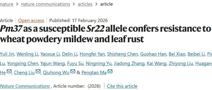 新春首篇Nature子刊！烟大科研团队发表重要研究成果！