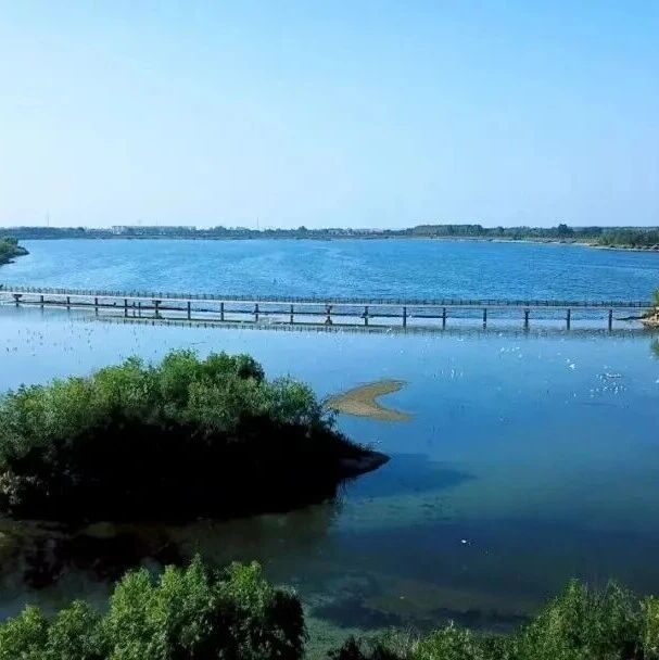 优质好水“流”进千家万户！莱州如何让每一滴水都“安全感”拉满？