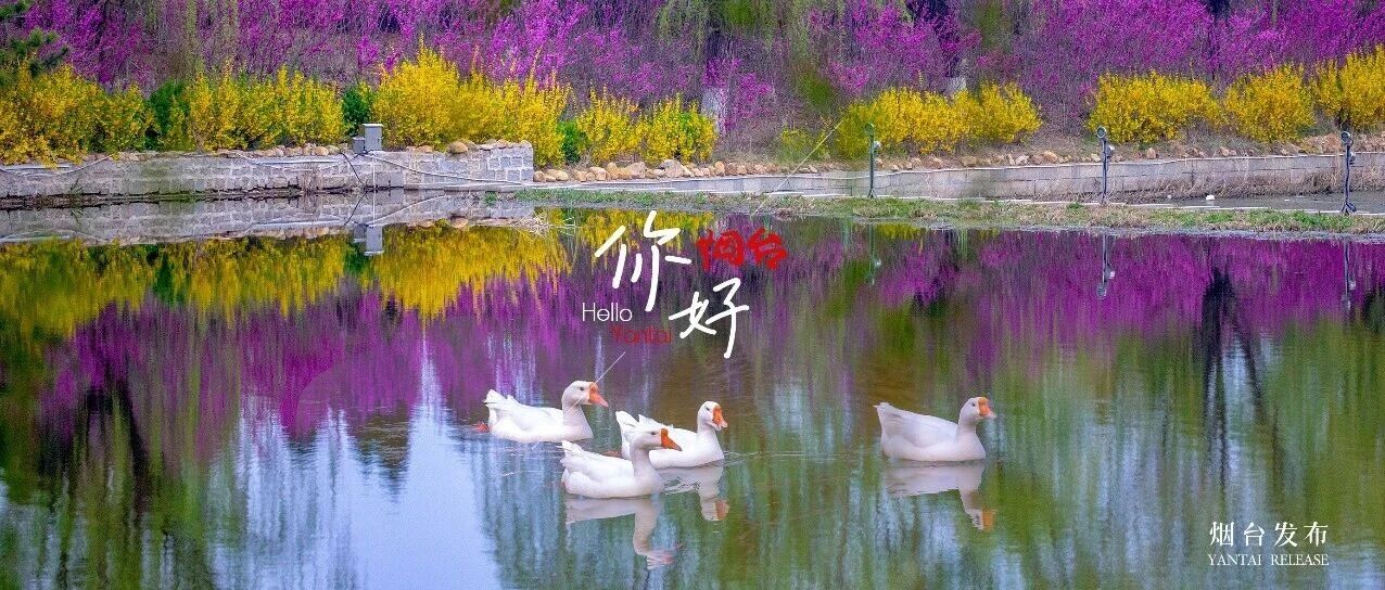 【你好 烟台】惊蛰至，春意浓