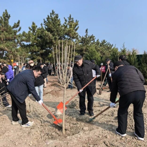 植树添绿正当时 市城管局组织开展义务植树活动