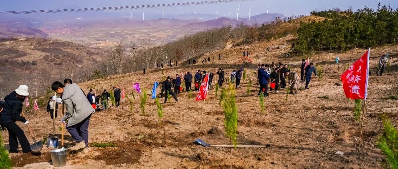 海阳市领导参加义务植树活动 抢抓春光添新绿
