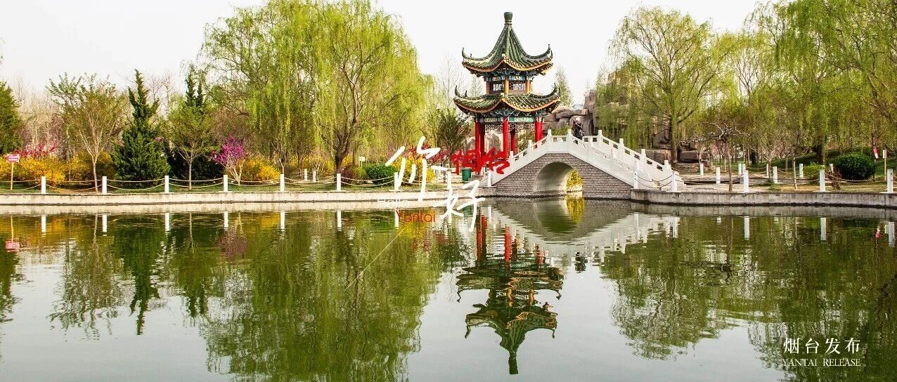 【你好 烟台】只看一眼，就爱上烟台的春天