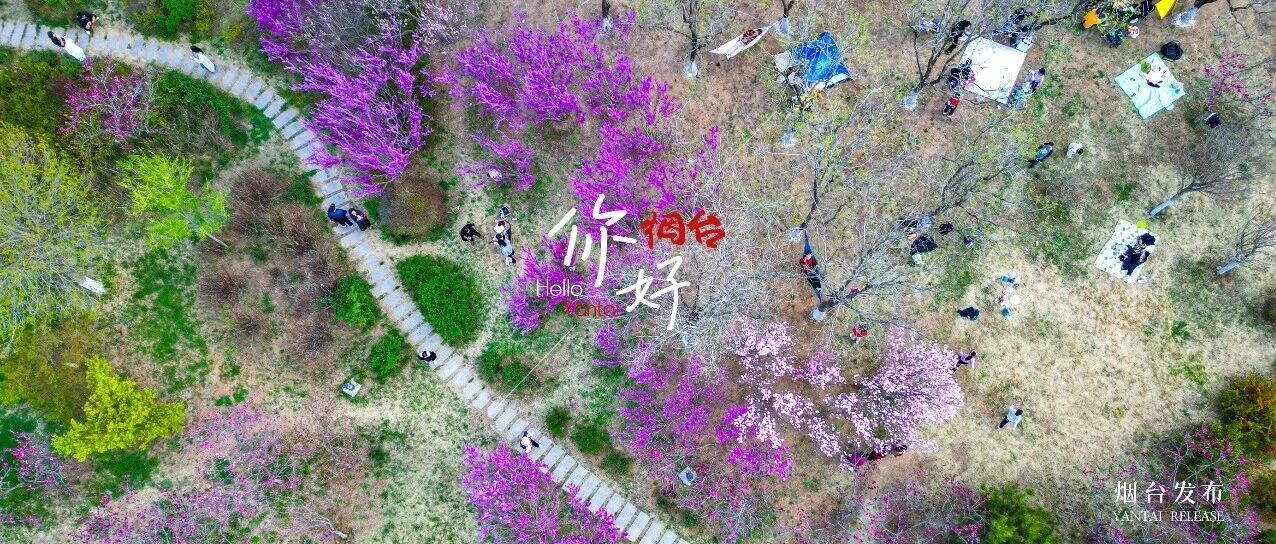 【你好 烟台】换一种视角，解锁烟台春日的N种浪漫