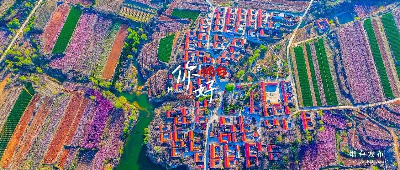 【你好 烟台】现实版“世外桃源”，我在烟台找到了！