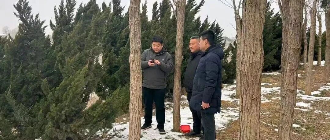 莱山区林地审批再提速，为项目建设与生态发展注入新动能