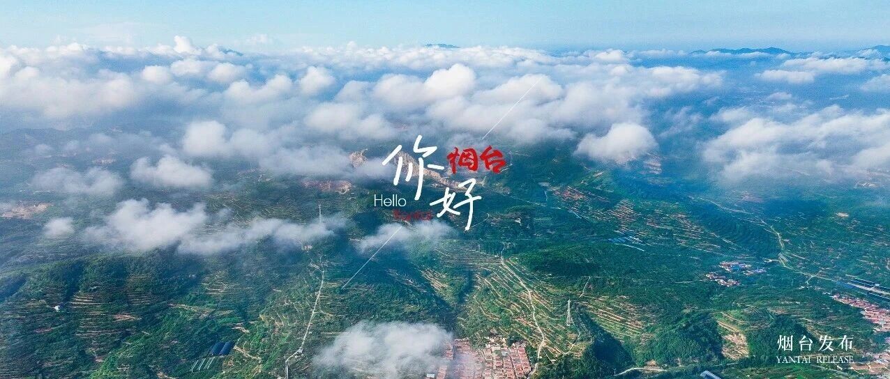 【你好 烟台】雾起青山间