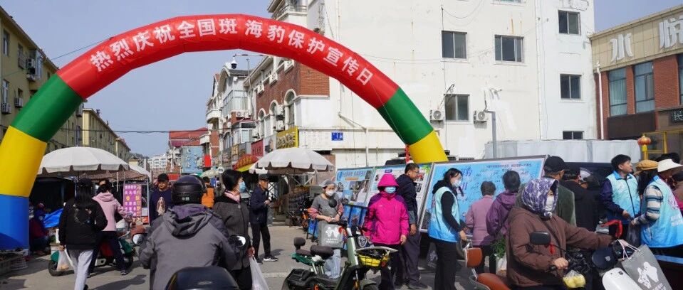 烟台市长岛综合试验区开展斑海豹保护科普宣教系列活动