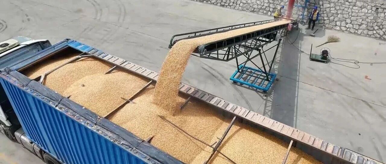 莱阳“北粮南运”物流通道建设取得新突破