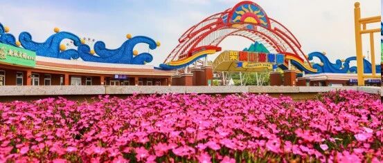 福利加码丨“齐鲁超赛”招远主场第二波优惠来啦！