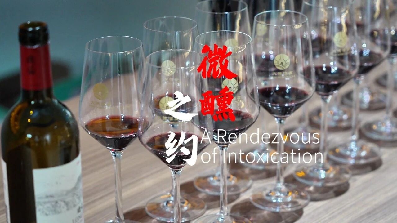 视听山东｜这里是烟台·微醺之约