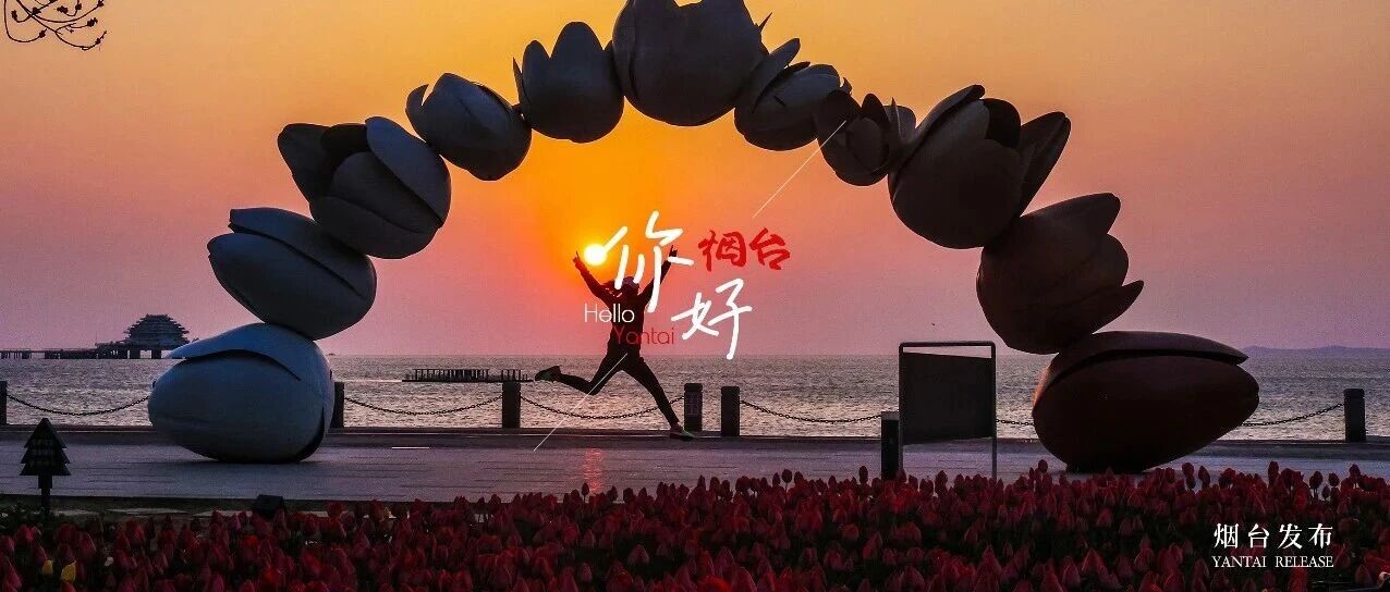 【你好 烟台】“郁”见海的浪漫