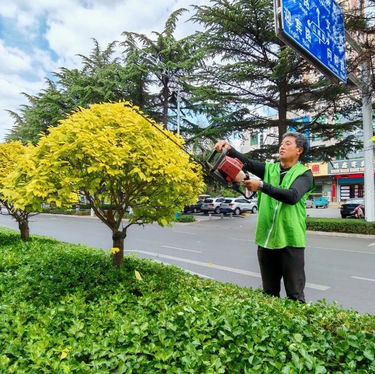 栖霞市综合行政执法局：以劳动践初心 用坚守护民生