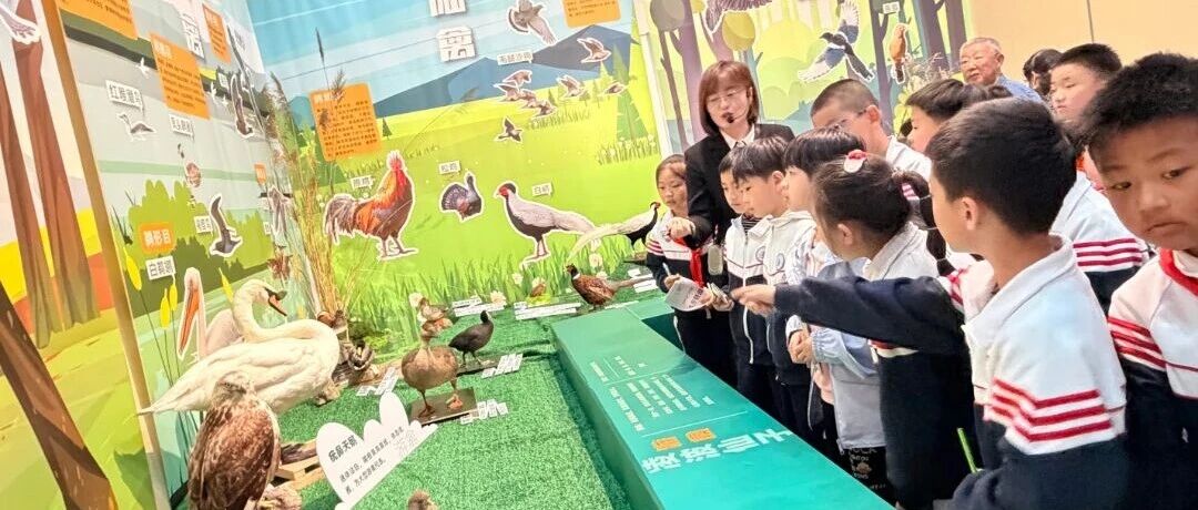 探秘自然奥秘 乐享研学时光——烟台高新区崇文小学烟台自然博物馆研学之旅