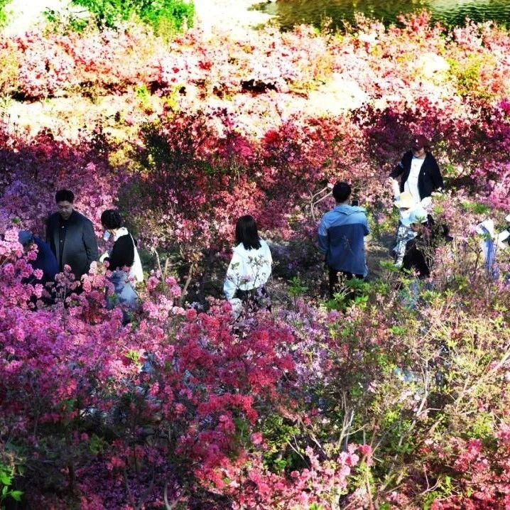人气旺、赛事火、消费热！招远文旅市场活力拉满
