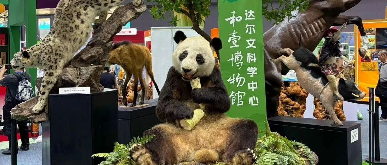 “珍”艳大湾区——栖霞文化企业惊艳亮相第二十二届深圳文博会