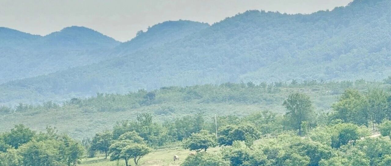 莱阳市娘娘山下沃得农场——藏在深山里的“绿野仙踪”