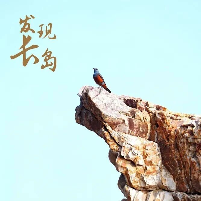 【发现长岛】