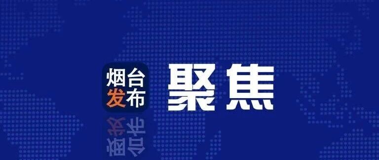 开局“十五五” 奋斗正当时｜烟台市属国企半年营收1357.8亿元