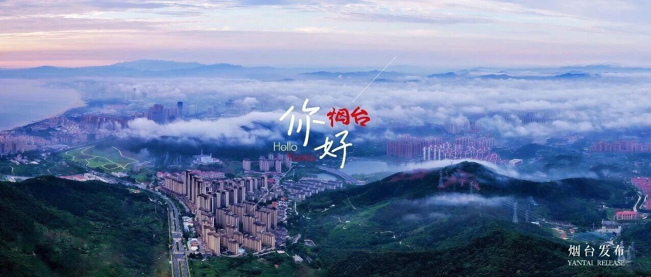 【你好 烟台】青山叠翠、云雾漫城，夏日烟台入仙境