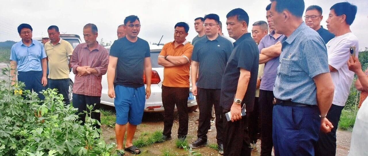 海阳小纪镇组织村负责人赴临沂考察学习 谋求银杏产业焕新生