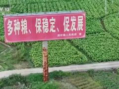 “纸上种田”不能止于打假