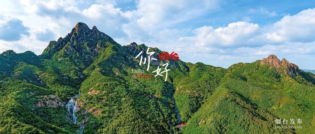 【你好 烟台】满眼都是绿！来烟台，邂逅清凉山野