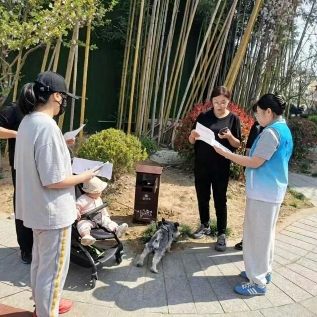 招远市多措并举筑牢犬只管理“安全网”，温情治理暖民心