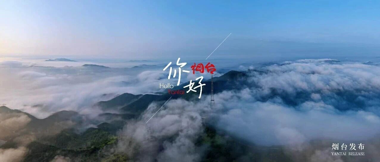【你好 烟台】云中观山山愈静，山中观云云更闲