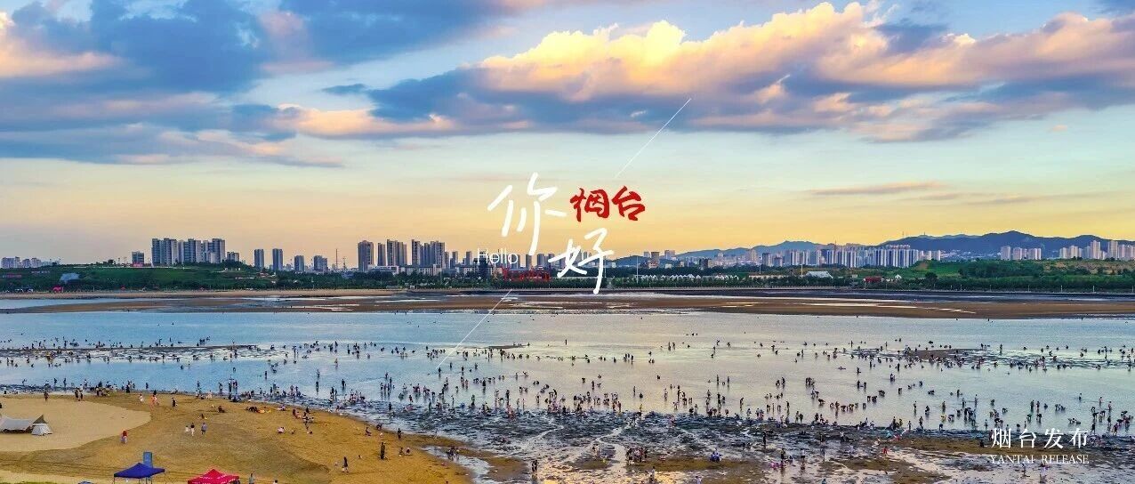 【你好 烟台】在烟台的海边挖呀挖呀挖……