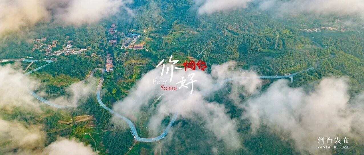 【你好 烟台】一路皆风景！烟台这条旅游公路太太太美了