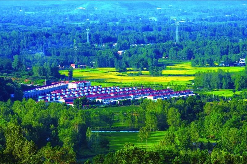 光山县晏河乡帅洼村
