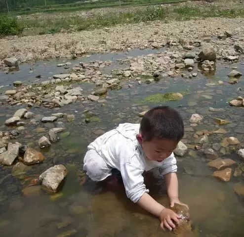 雖然螃蟹很小,但清除乾淨,拿來油炸或紅燒,連皮都變得焦脆.